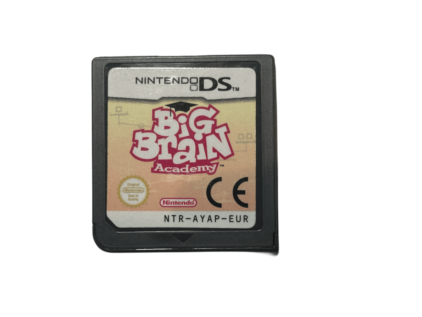 Big Brain academy Nintendo DS game